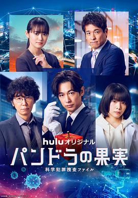 株洲专业seo优化企业